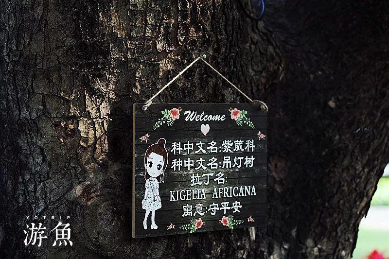 微信超过2分钟怎么强行撤回？游戏画面